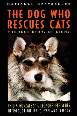 Dog Who Rescues Cats, The