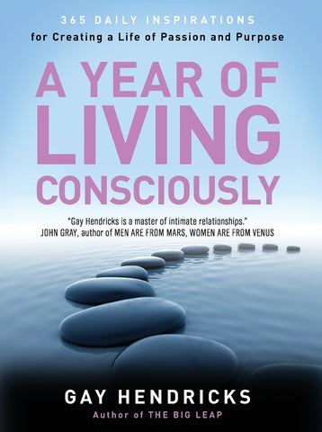 Year of Living Consciously, A