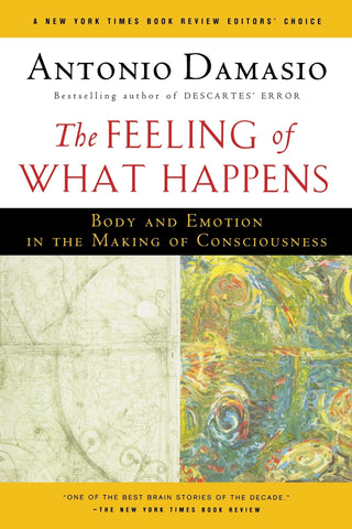 The Feeling of What Happens