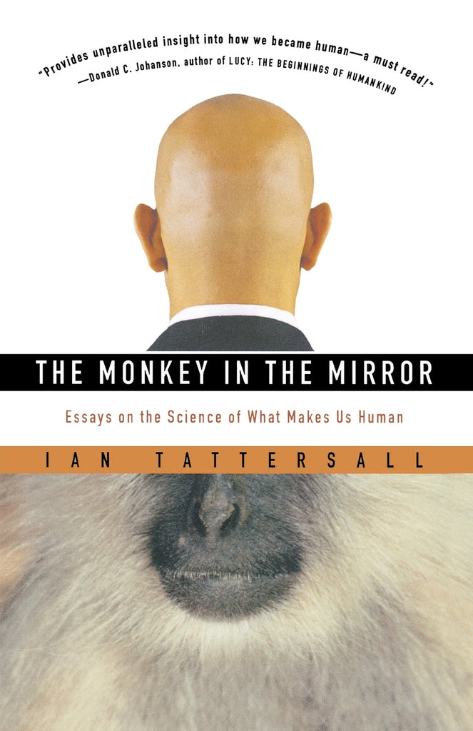 The Monkey in the Mirror