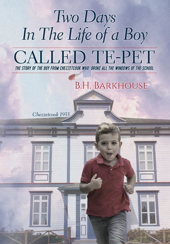 Two days in the life of a boy called Te-pet