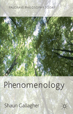 Phenomenology