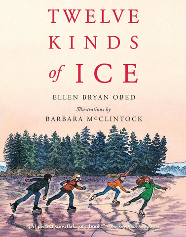 Twelve Kinds of Ice