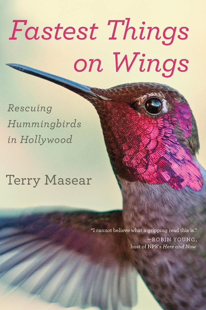 Fastest Things on Wings