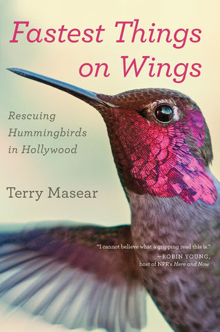 Fastest Things on Wings