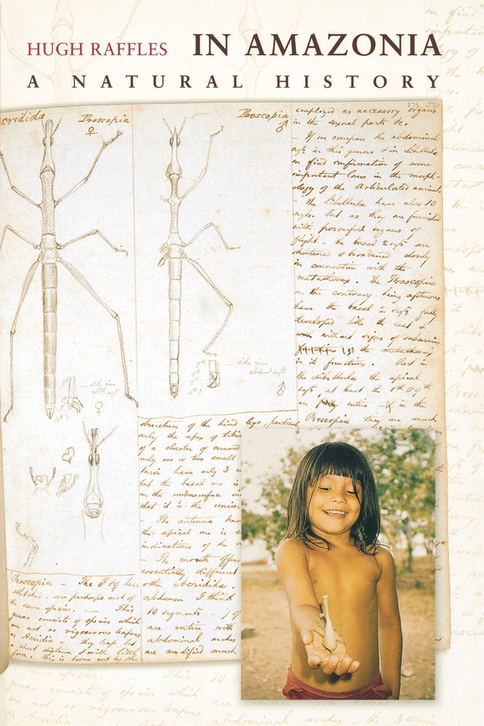In Amazonia