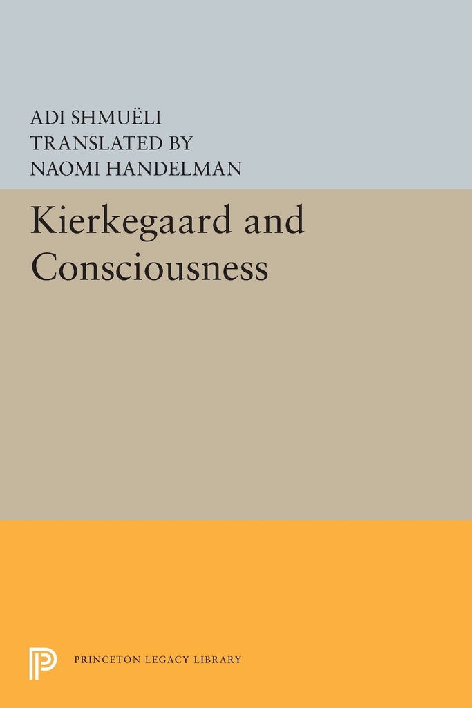 Kierkegaard and Consciousness
