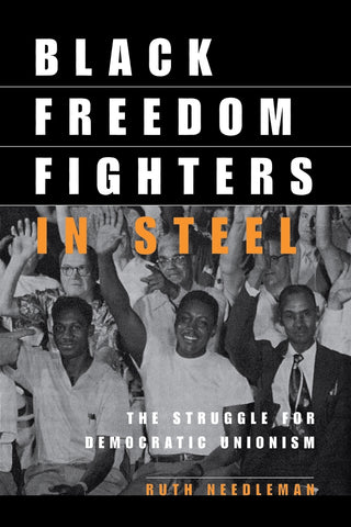 Black Freedom Fighters in Steel