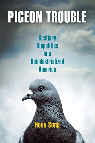 Pigeon Trouble