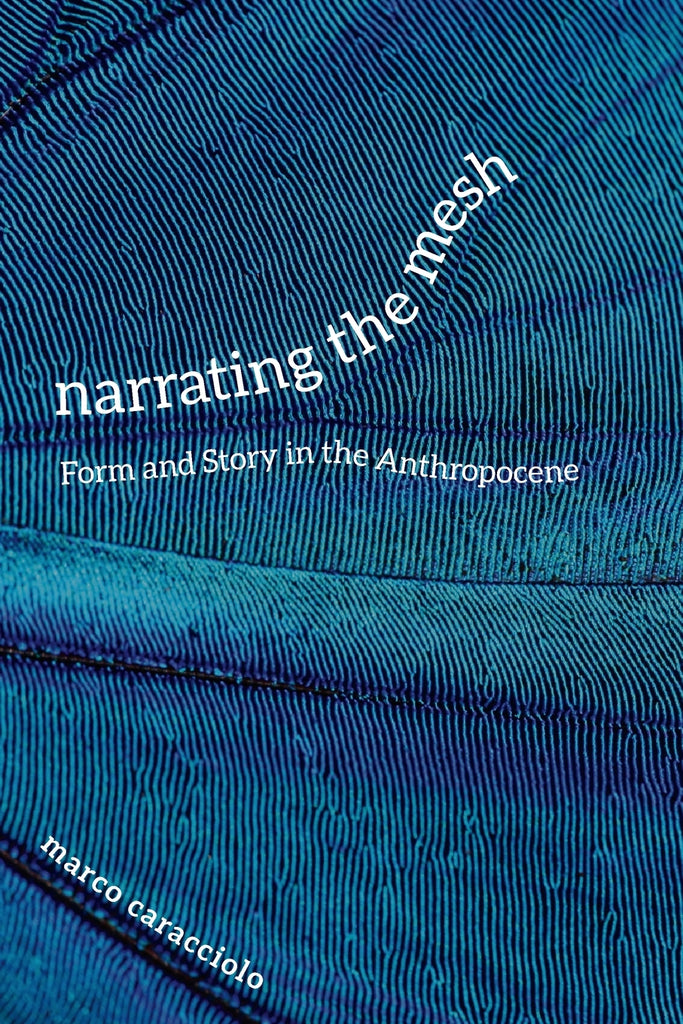 Narrating the Mesh