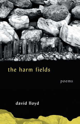 The Harm Fields
