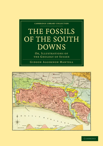 The Fossils of the South Downs
