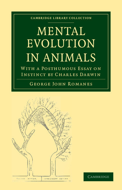 Mental Evolution in Animals