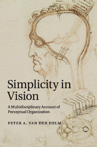 Simplicity in Vision