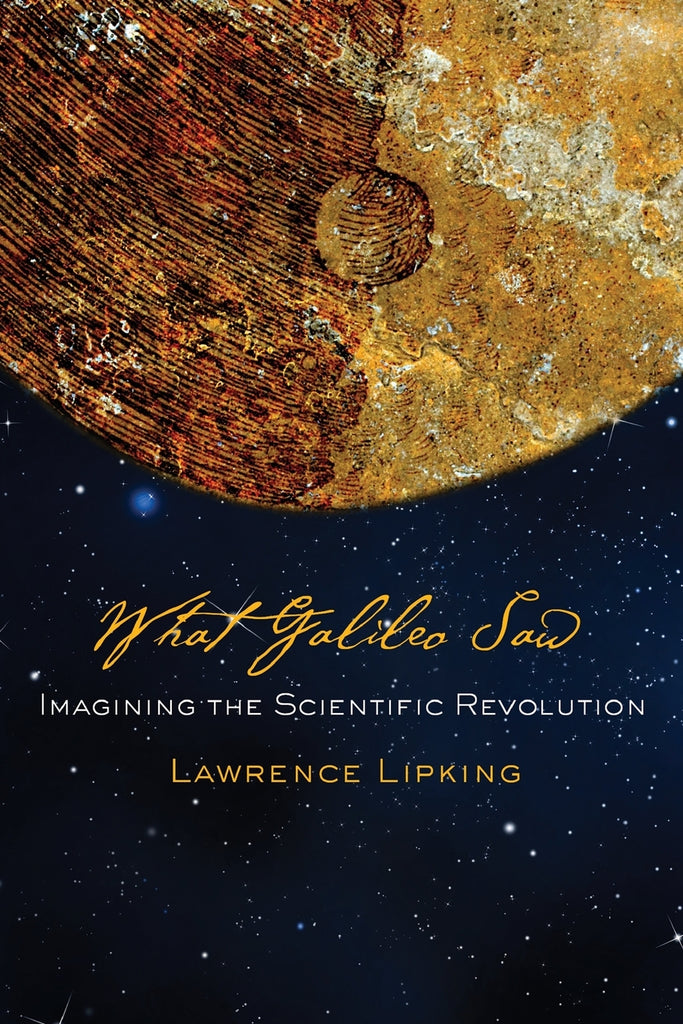 What Galileo Saw
