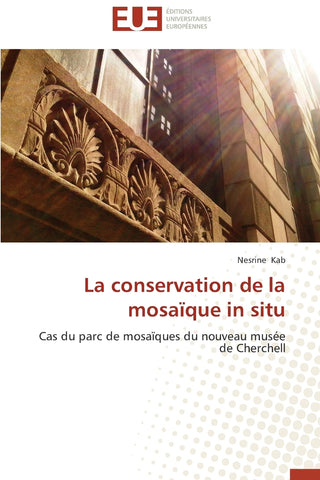 La conservation de la mosaïque in situ